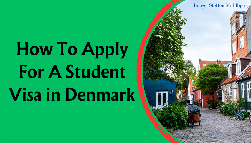 How To Apply For A Student Visa in Denmark